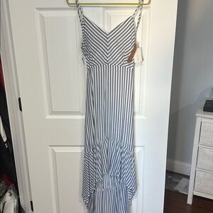 Mustard Seed Blue and White Striped Dress
